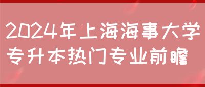 2024年上海海事大学专升本热门专业前瞻