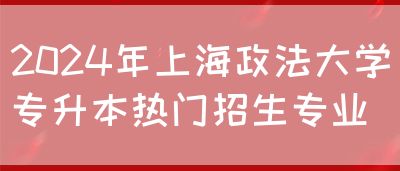 2024年上海政法大学专升本热门招生专业