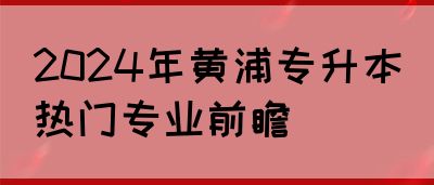 2024年黄浦专升本热门专业前瞻