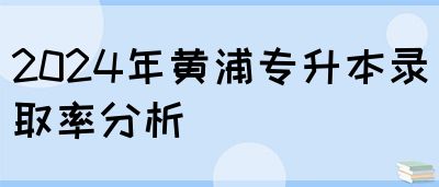 2024年黄浦专升本录取率分析