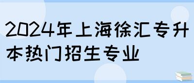 2024年上海徐汇专升本热门招生专业