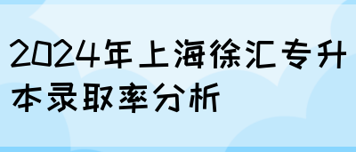 2024年上海徐汇专升本录取率分析