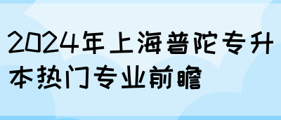 2024年上海普陀专升本热门专业前瞻(图1)