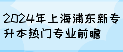 2024年上海浦东新专升本热门专业前瞻