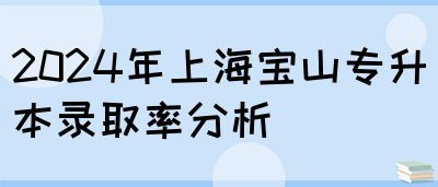 2024年上海宝山专升本录取率分析(图1)
