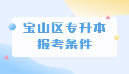 报考宝山区专升本需要什么条件？