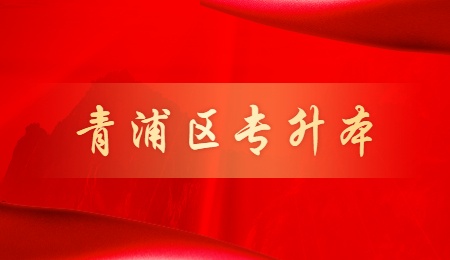 青浦区专升本报考流程