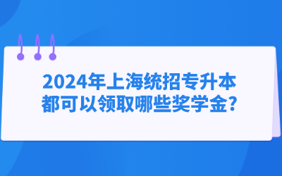 2024年上海统招专升本都可以领取哪些奖学金.png